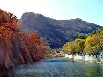 新澳精准资料免费大全，岩峰湿喷机